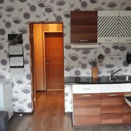 Apartamento Lady Buick Riga